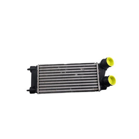Echangeur air (Intercooler) DS DS4 1