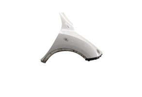 Aile avant droit NISSAN JUKE 1 Photo n°1