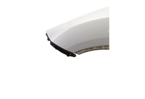 Aile avant gauche NISSAN JUKE 1 Photo n°1