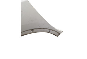 Aile avant gauche NISSAN JUKE 1 Photo n°4