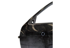 Porte avant gauche NISSAN JUKE 1 Photo n°5