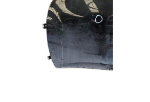 Porte avant gauche NISSAN JUKE 1 Photo n°7