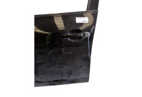 Porte avant gauche NISSAN JUKE 1 Photo n°8