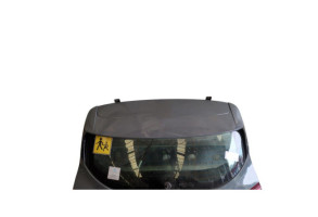 Malle/Hayon arriere RENAULT CLIO 5 Photo n°9