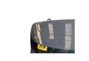 Malle/Hayon arriere RENAULT CLIO 5 Photo n°10