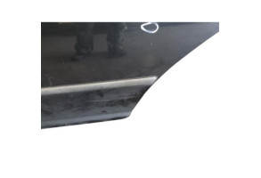 Porte avant gauche VOLKSWAGEN GOLF 4 Photo n°6