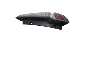 Feu arriere principal droit (feux) RENAULT SCENIC 3 Photo n°6