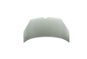 Capot RENAULT KANGOO 2 Photo n°1