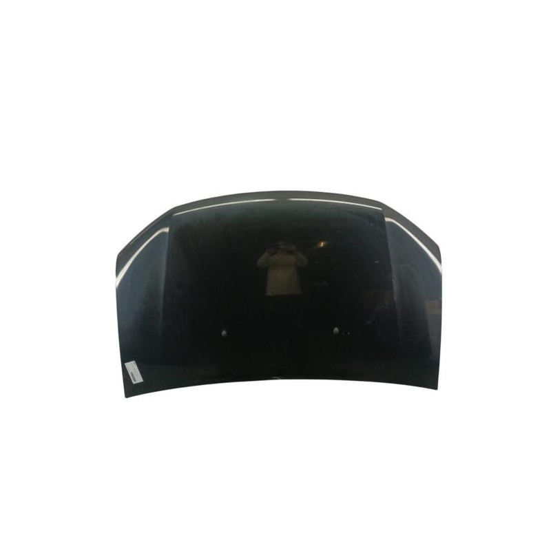 Capot DACIA SANDERO 2 Photo n°1