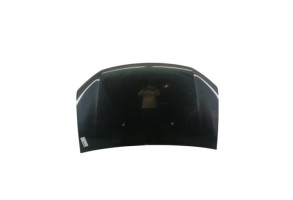 Capot DACIA SANDERO 2 Photo n°1