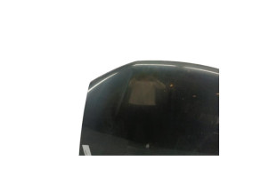 Capot DACIA SANDERO 2 Photo n°4