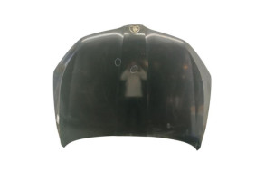 Capot SKODA OCTAVIA 3 Photo n°1