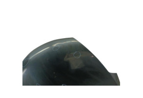 Capot NISSAN JUKE 1 Photo n°3