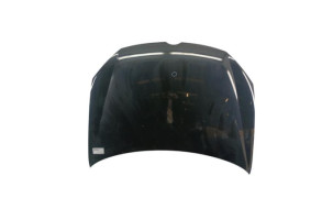 Capot VOLKSWAGEN GOLF 6 Photo n°1