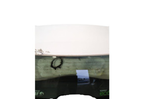 Malle/Hayon arriere RENAULT CLIO 4 Photo n°6