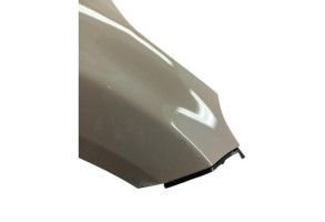 Aile avant droit FIAT 500L Photo n°3