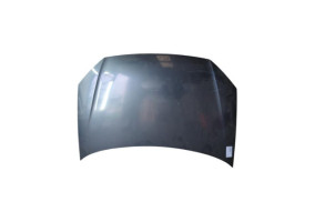 Capot VOLKSWAGEN POLO 4 Photo n°1