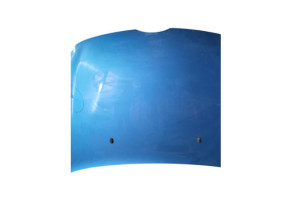 Capot FORD FIESTA 6 Photo n°6