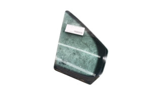 Custode avant droit (porte) RENAULT MODUS Photo n°3