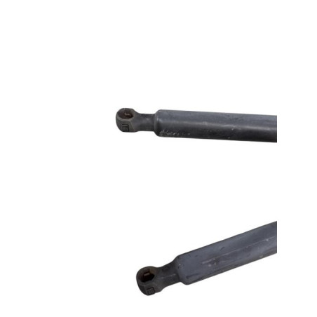 Verin de coffre RENAULT CLIO 3