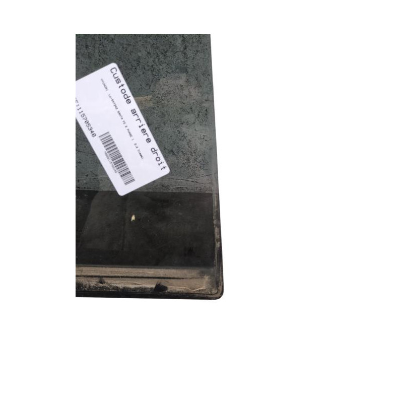 Custode arriere droit (porte) HYUNDAI SANTA FE 2 Photo n°1