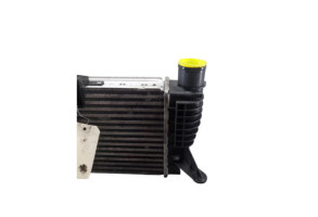 Echangeur air (Intercooler) NISSAN JUKE 1 Photo n°3