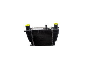 Echangeur air (Intercooler) NISSAN JUKE 1 Photo n°5