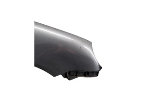 Aile avant droit VOLKSWAGEN POLO 4 Photo n°3