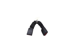 Attache ceinture arriere droit DACIA SANDERO 1 Photo n°3