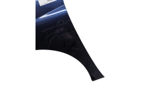 Aile avant gauche PEUGEOT 207 Photo n°3