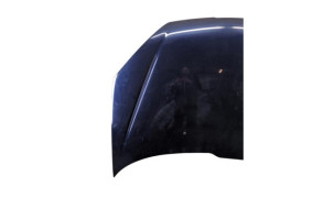 Capot PEUGEOT 206 Photo n°2