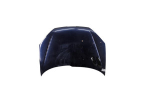 Capot PEUGEOT 206 Photo n°3