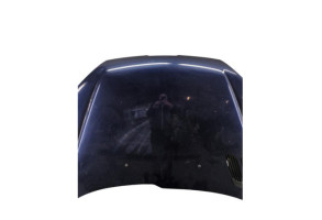 Capot PEUGEOT 206 Photo n°6