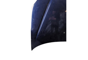 Capot PEUGEOT 206 Photo n°7