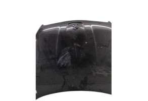 Capot PEUGEOT 508 1 Photo n°4