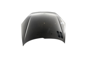 Capot PEUGEOT 206 Photo n°1
