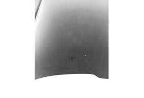 Capot PEUGEOT 206 Photo n°5