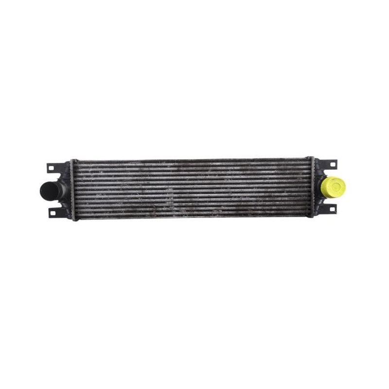Echangeur air (Intercooler) RENAULT MASTER 2 Photo n°1