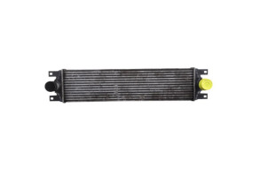 Echangeur air (Intercooler) RENAULT MASTER 2 Photo n°1