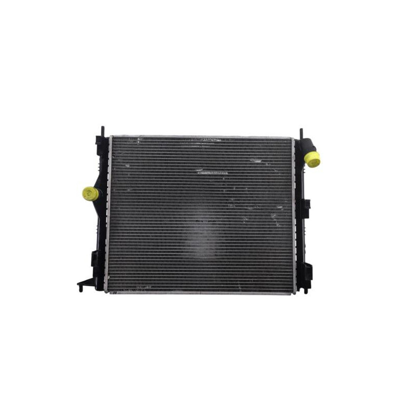 Radiateur eau DACIA SANDERO 1 Photo n°1