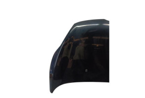 Capot FORD FIESTA 6 Photo n°6