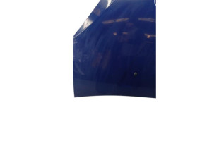 Capot DACIA SANDERO 1 Photo n°1