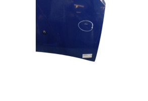 Capot DACIA SANDERO 1 Photo n°2