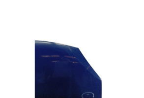 Capot DACIA SANDERO 1 Photo n°3