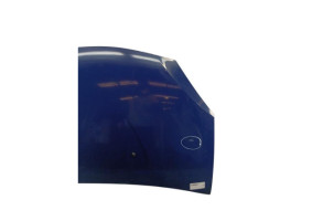 Capot DACIA SANDERO 1 Photo n°5