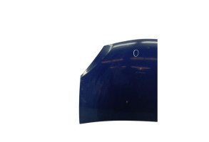 Capot DACIA SANDERO 1 Photo n°6