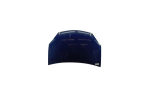 Capot DACIA SANDERO 1 Photo n°7