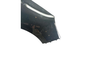 Aile avant droit RENAULT SCENIC 3 Photo n°2