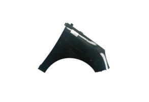 Aile avant droit RENAULT SCENIC 3 Photo n°5