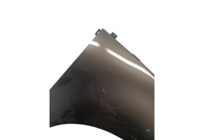 Aile avant droit RENAULT GRAND SCENIC 3 Photo n°3